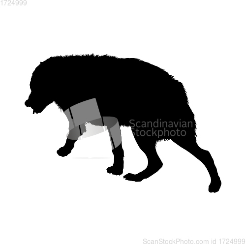 Image of Wolf Silhouette
