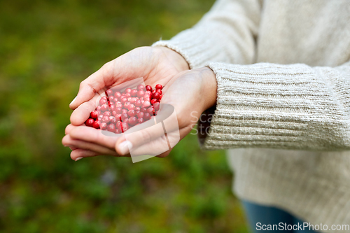 Image of close up of young woman holding berries in hands