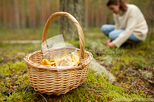 Image of young woman picking mushrooms in autumn forest