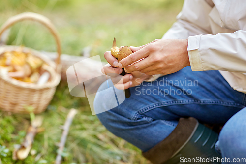 Image of man with basket picking mushrooms in forest