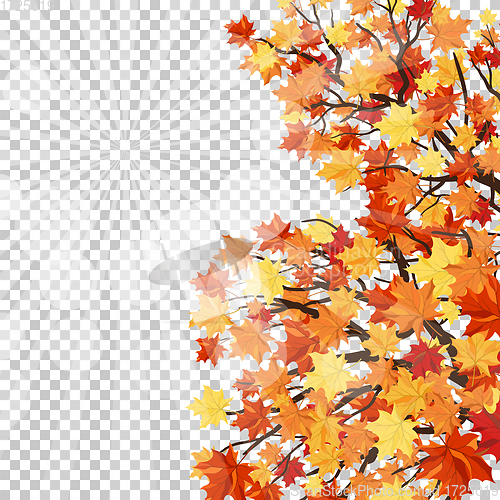 Image of Autumn 