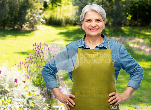 Image of portrait of smiling senior woman in garden apron