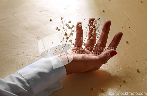 Image of hand with dried baby's breath flowers in cuff