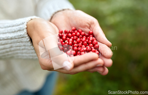 Image of close up of young woman holding berries in hands