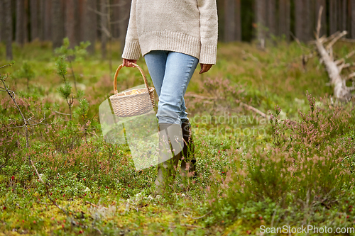 Image of woman with basket picking mushrooms in forest