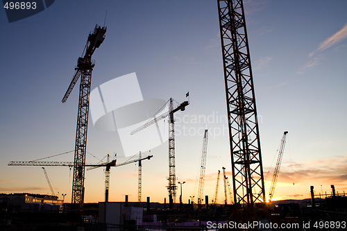 Image of Cranes