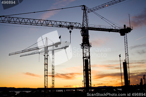 Image of Cranes