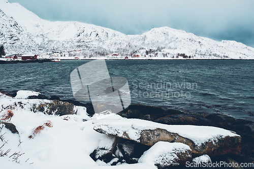 Image of Norwegian fjord with red rorbu houses in Norway in winter