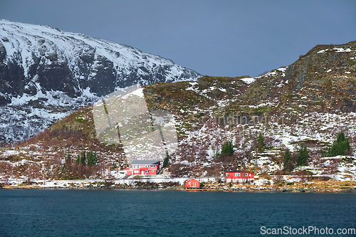 Image of Red rorbu houses in Norway in winter