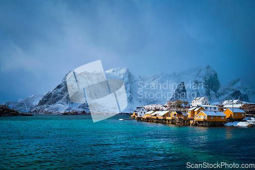 Image of Yellow rorbu houses, Lofoten islands, Norway