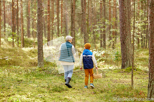 Image of grandmother and grandson with baskets in forest