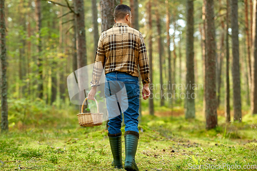 Image of man with basket picking mushrooms in forest