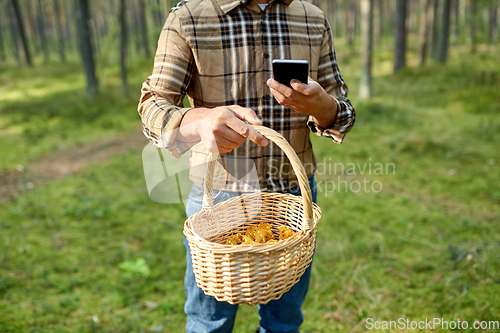 Image of man with smartphone and mushrooms in basket