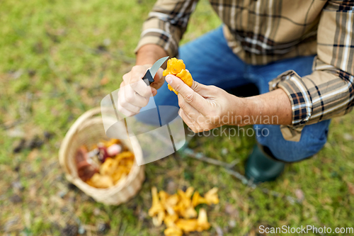 Image of man with basket picking mushrooms in forest