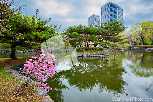 Image of Yeouido Park in Seoul, Korea