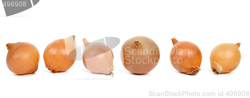 Image of Onions