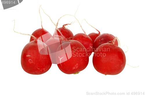 Image of Fresh red radish 