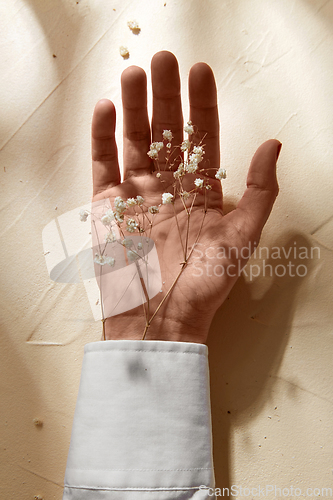 Image of hand with dried baby's breath flowers in cuff