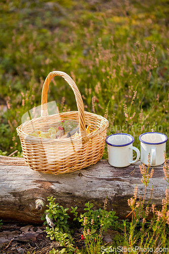 Image of mushrooms in basket and cups of tea in forest