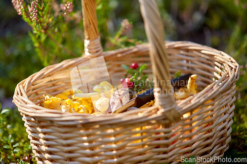 Image of close up of mushrooms in basket in forest