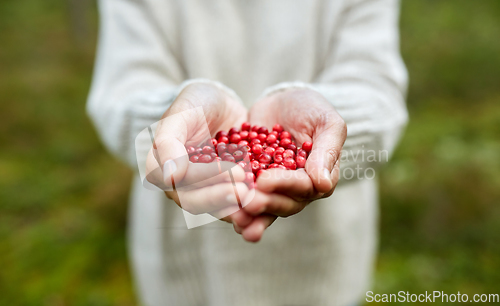 Image of close up of young woman holding berries in hands