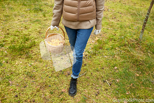 Image of young woman picking mushrooms in autumn forest