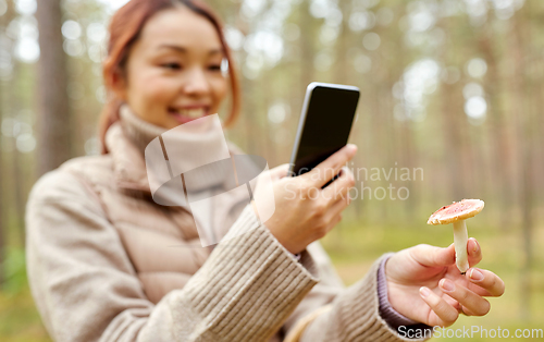 Image of asian woman using smartphone to identify mushroom