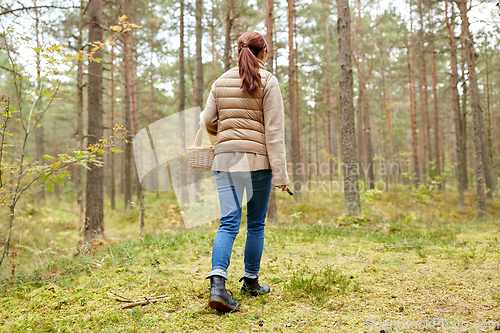 Image of young woman picking mushrooms in autumn forest