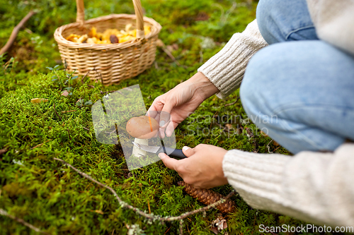 Image of young woman picking mushrooms in autumn forest