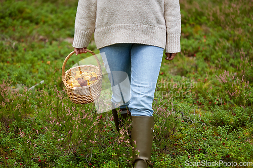 Image of woman with basket picking mushrooms in forest