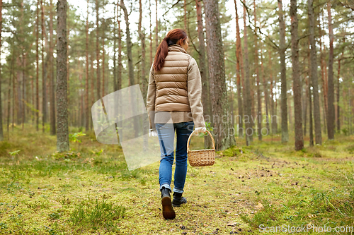 Image of young woman picking mushrooms in autumn forest