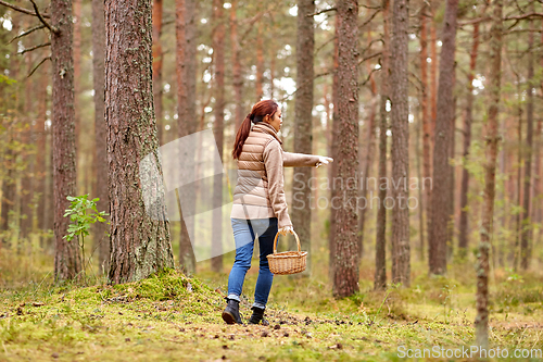 Image of asian woman picking mushrooms in autumn forest