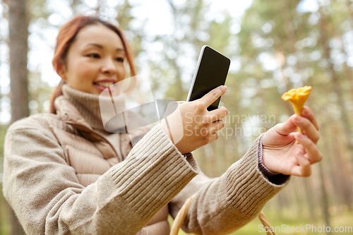 Image of asian woman using smartphone to identify mushroom