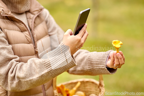 Image of woman using smartphone to identify mushroom