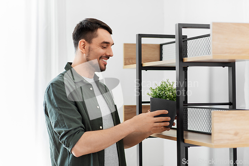 Image of man decorating home with flower or houseplant