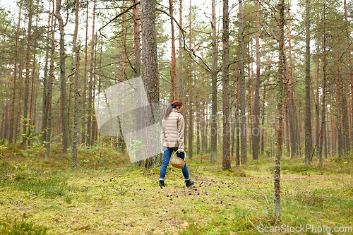 Image of young woman picking mushrooms in autumn forest