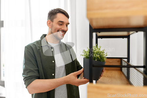 Image of man decorating home with flower or houseplant