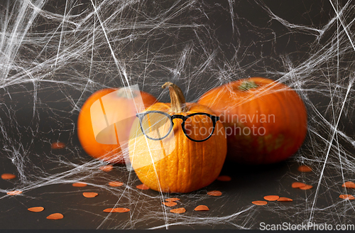 Image of halloween pumpkins with glasses and spiderweb