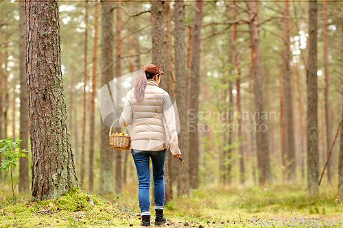 Image of young woman picking mushrooms in autumn forest