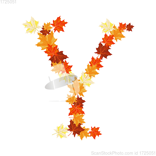 Image of Autumn Maples Leaves Letter