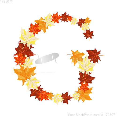 Image of Autumn Maples Leaves Letter