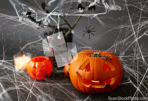 Image of pumpkins, spider web and halloween decorations