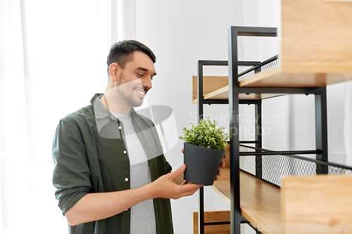 Image of man decorating home with flower or houseplant