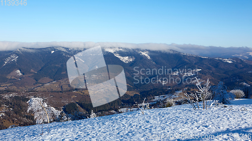 Image of Winter panorama of mountains on a sunny day. Carpathians, Ukraine