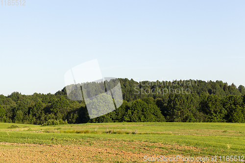 Image of summer landscape