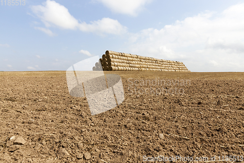 Image of cylindrical rolls of straw