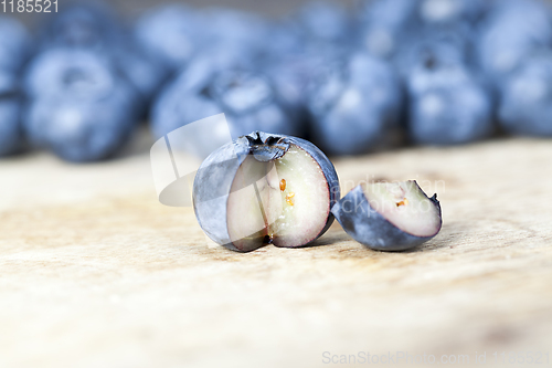 Image of ripe blueberry