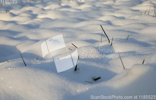 Image of Snow drifts in winter