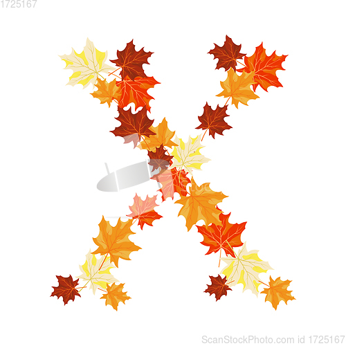 Image of Autumn Maples Leaves Letter