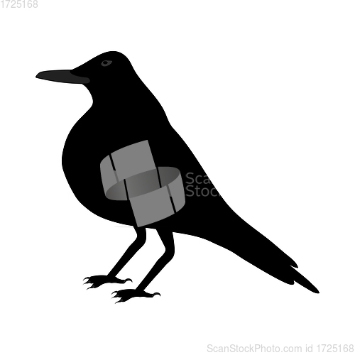 Image of Black Crow 